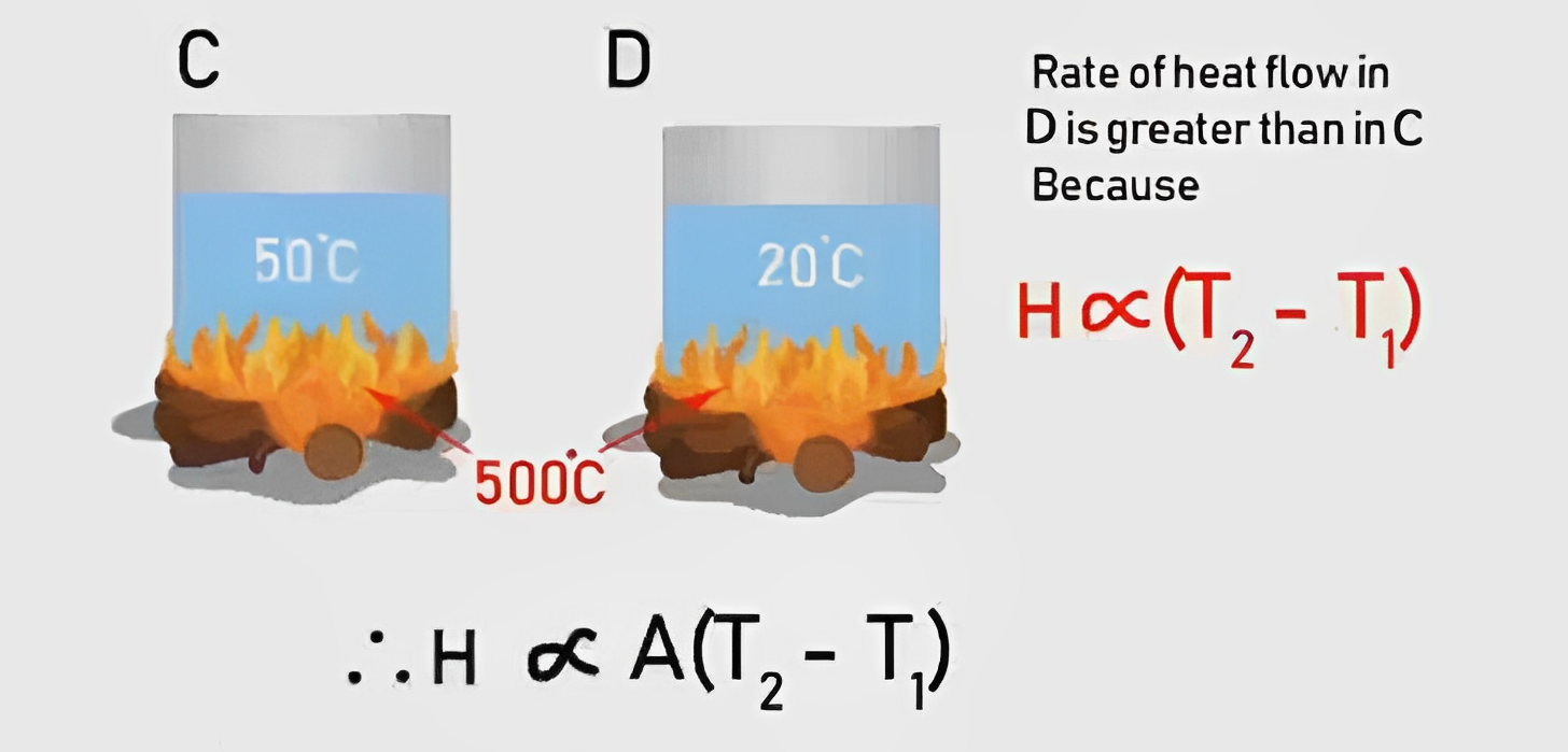 Heat convection and surface area